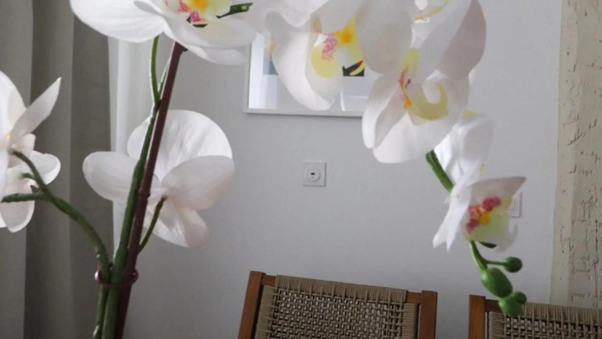 Appartement Villa Sephora Cannes